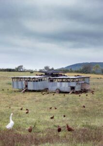 Points of Interest on the Salatin Family Farm Image